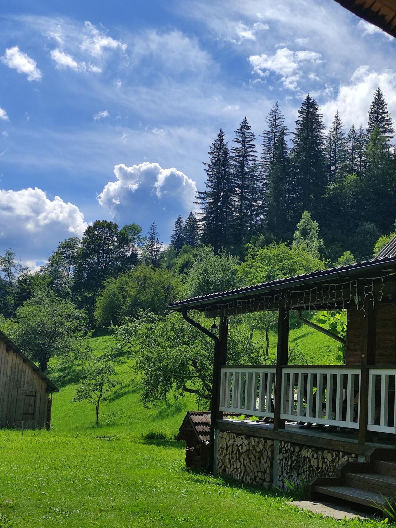 Садиба Тарниця Krivorovnya Bagian luar foto